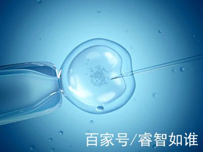 林教授