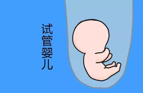 私人孕妈供卵代怀服务选性别